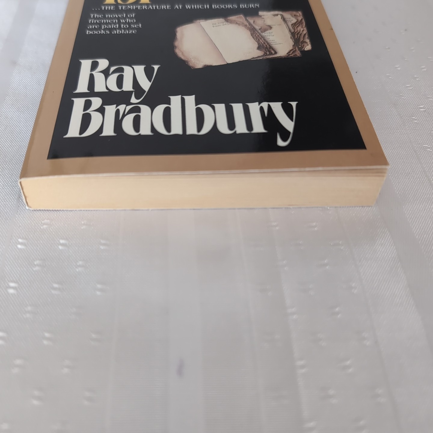 Fahrenheit 451 by Ray Bradbury (1991 Paperback) Del Rey
