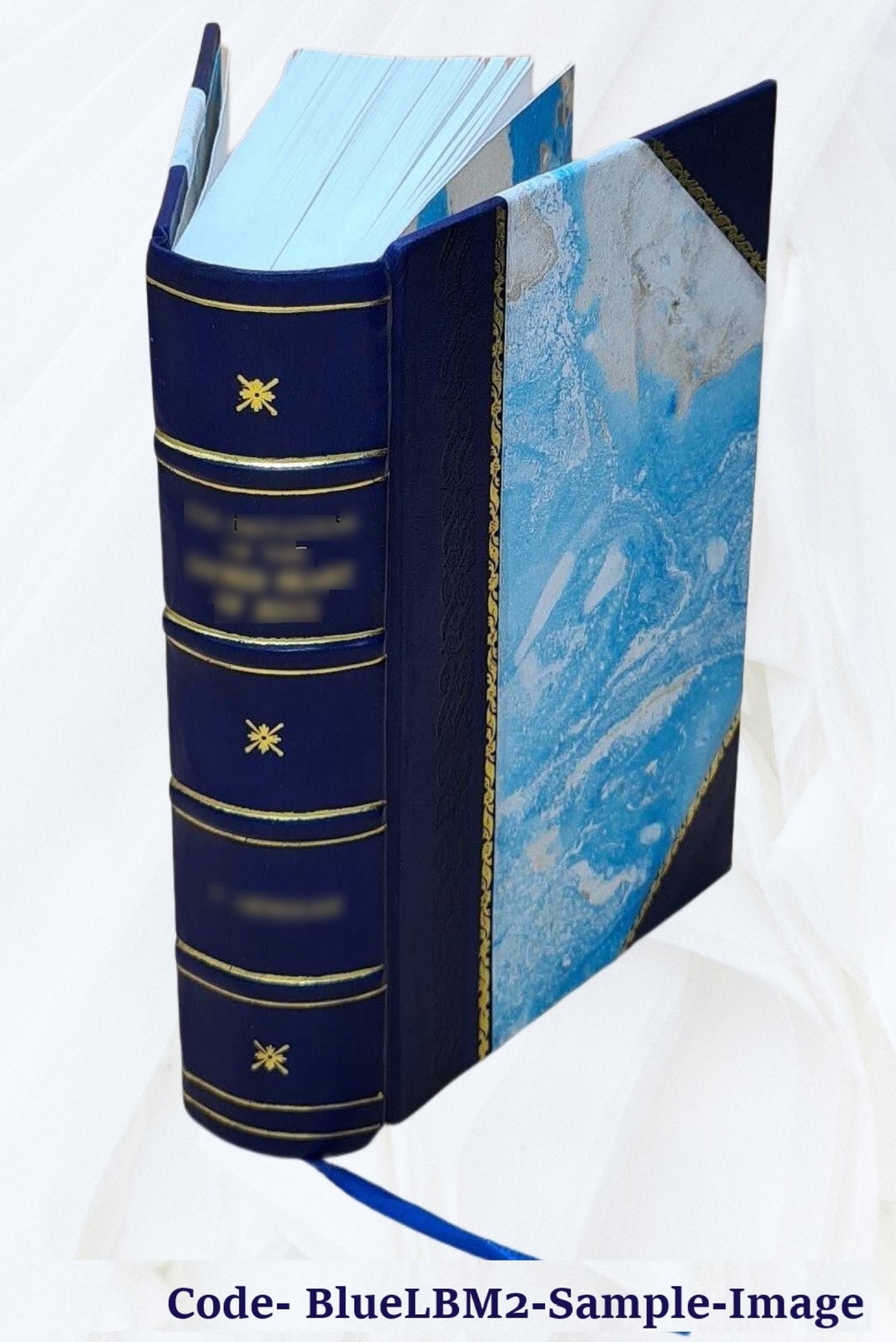 Commentaries On Equity Pleadings 1892 [Leather Bound]